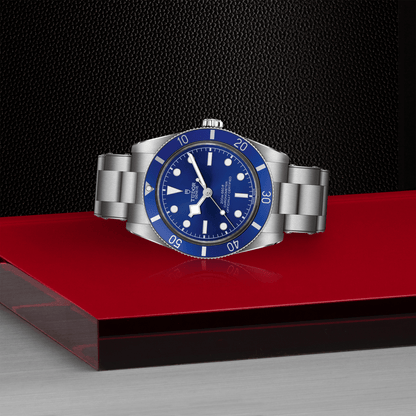 Tudor Black Bay 54 — photo 4 of 5