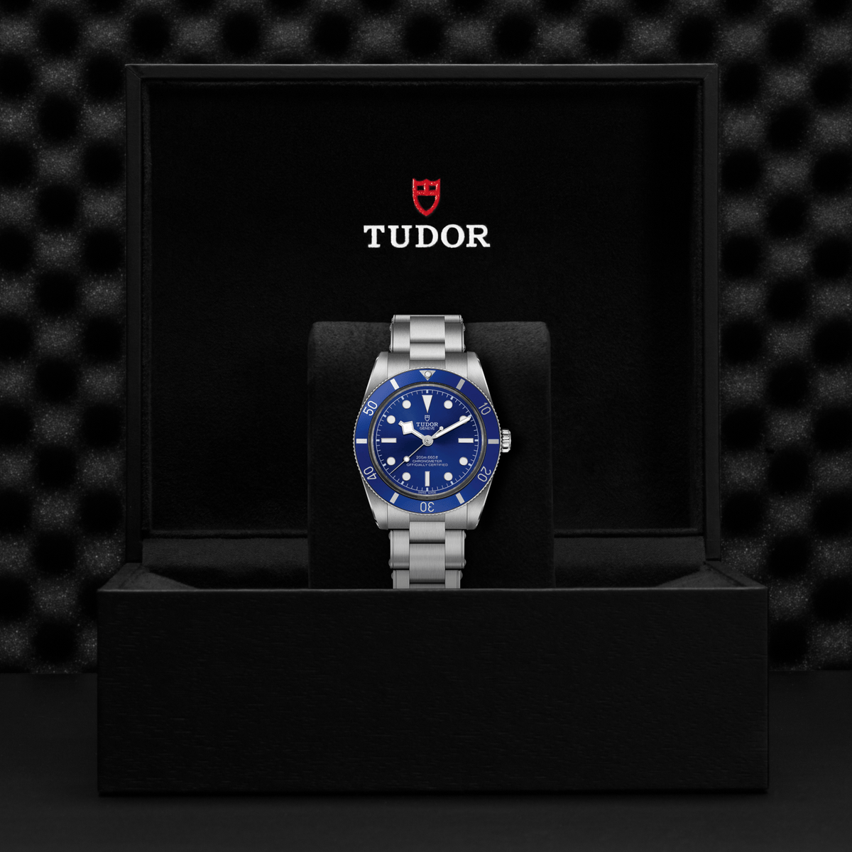Tudor Black Bay 54 — photo 5 of 5