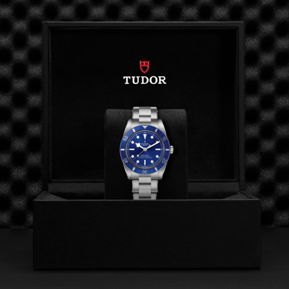 Tudor Black Bay 54 — photo 5 of 5