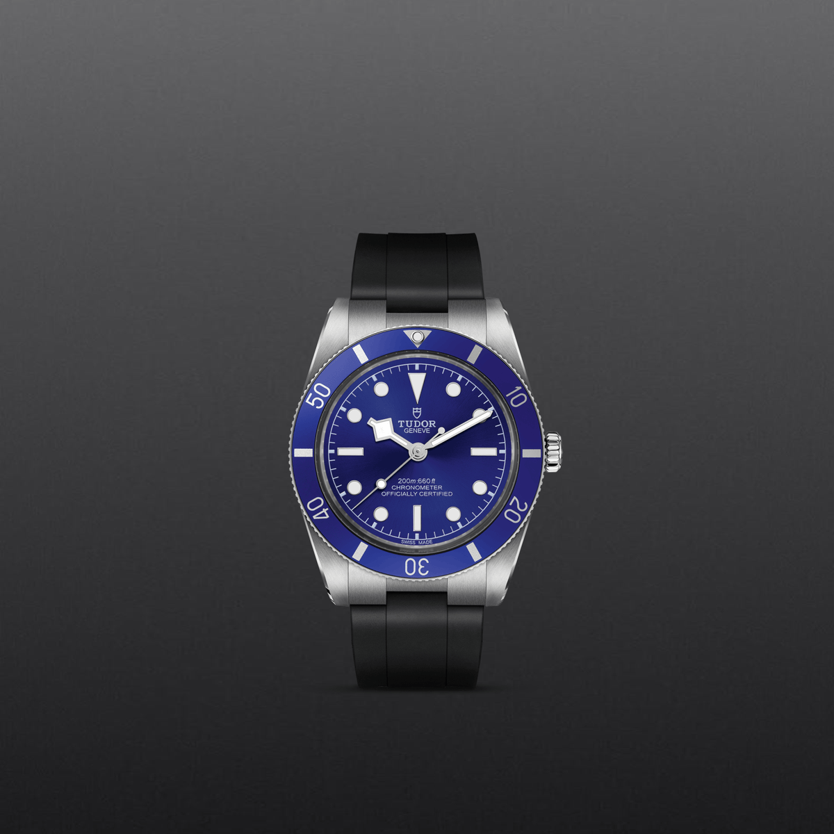 Tudor Black Bay 54 — photo 2 of 5