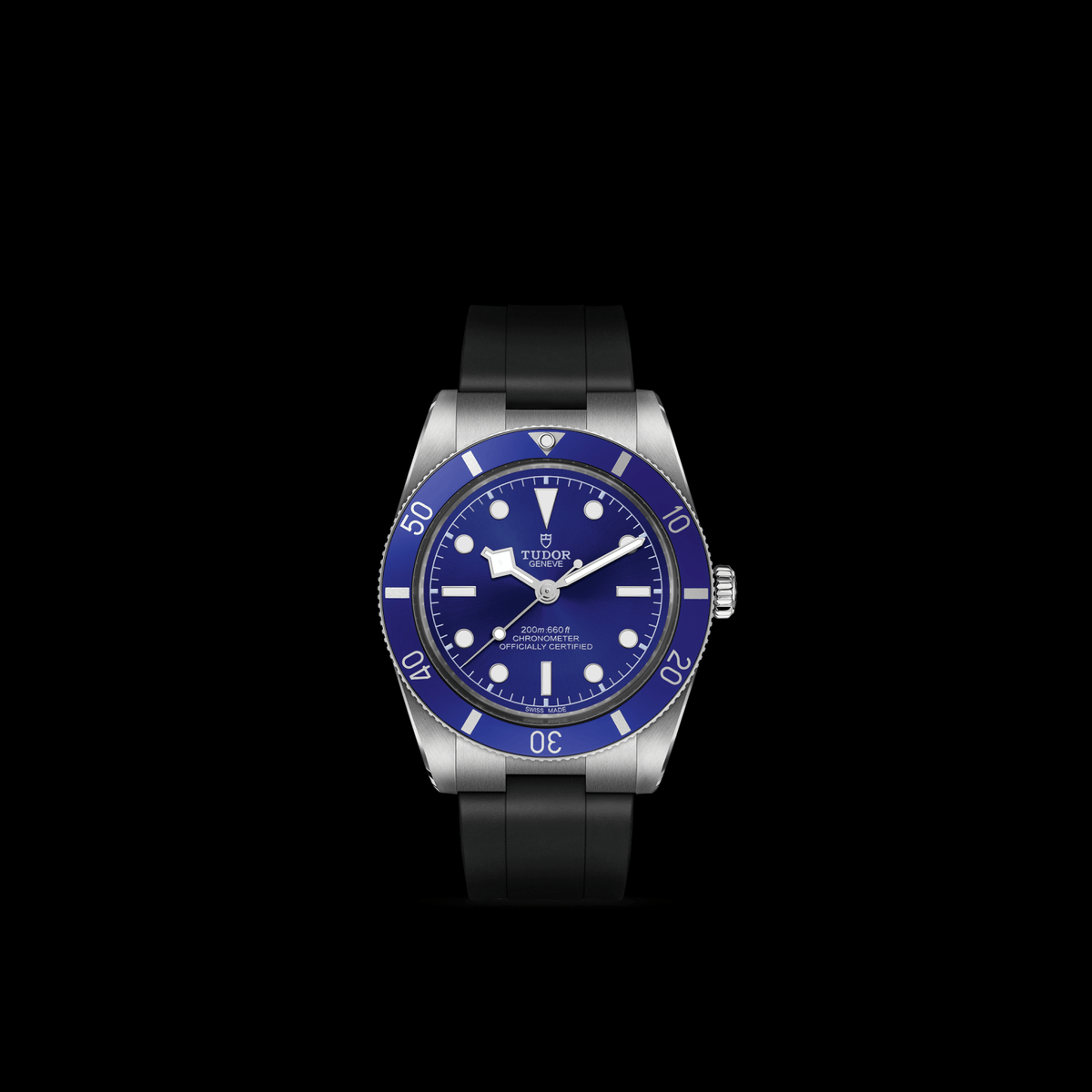 Tudor Black Bay 54 — photo 3 of 5