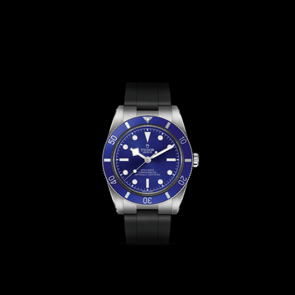 Tudor Black Bay 54 — photo 3 of 5