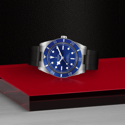 Tudor Black Bay 54 — photo 4 of 5