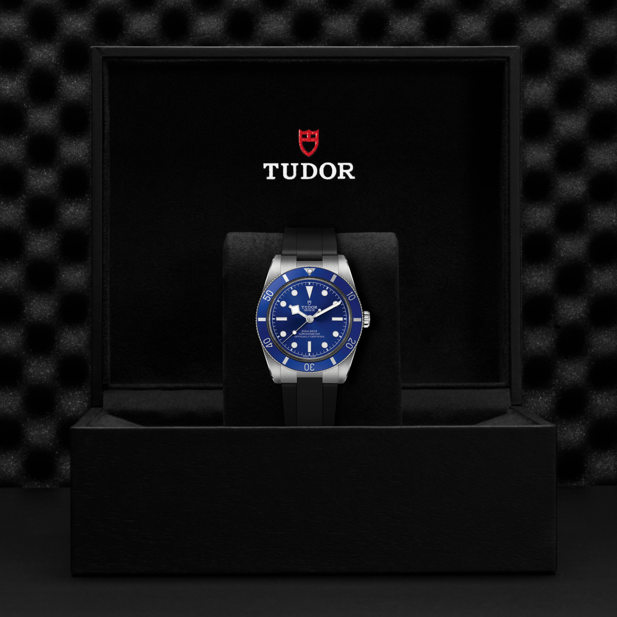 Tudor Black Bay 54 — photo 5 of 5