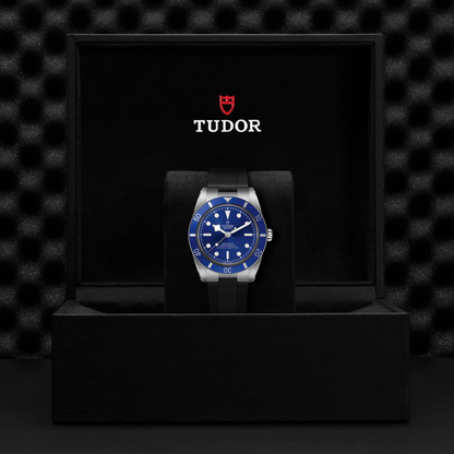 Tudor Black Bay 54 — photo 5 of 5
