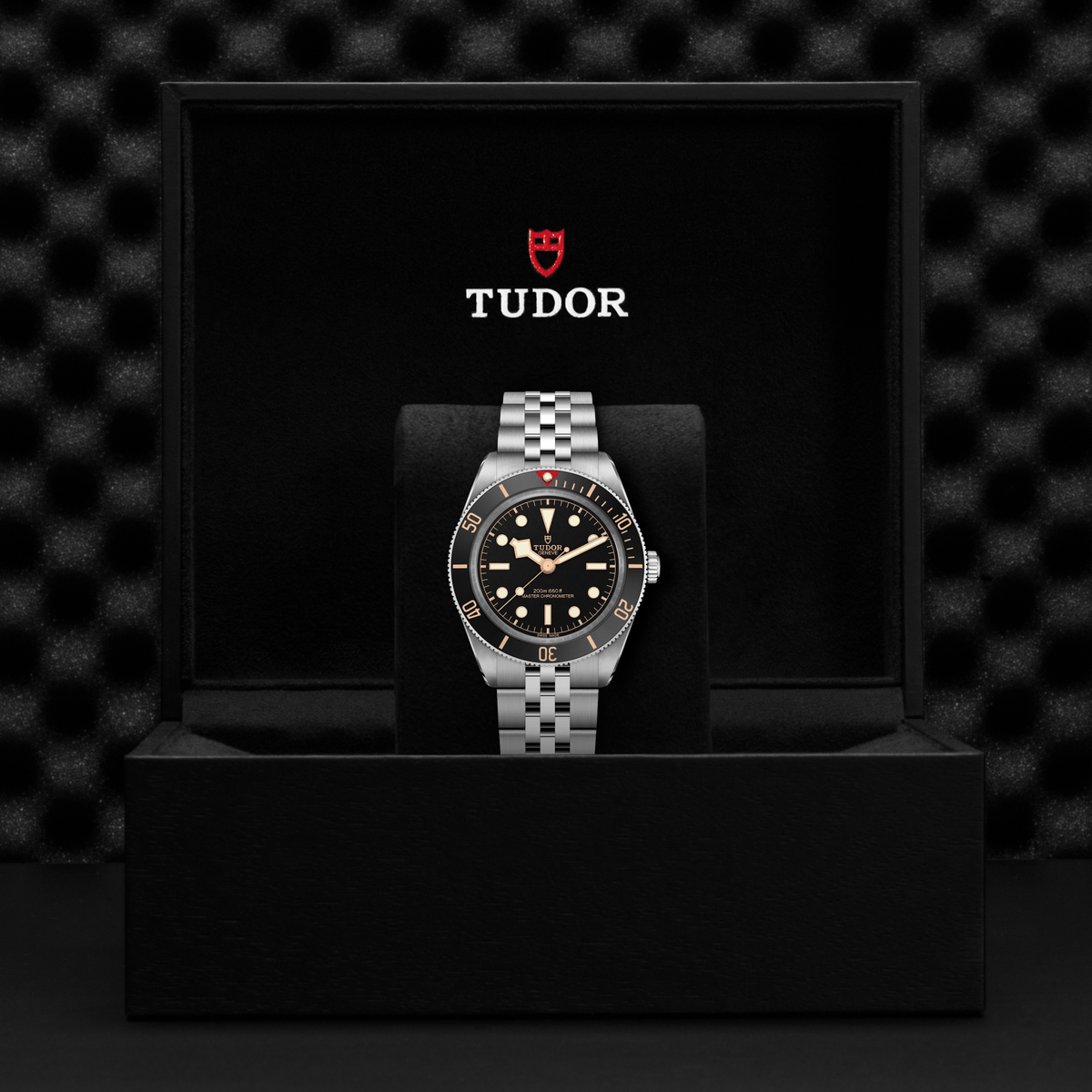 Tudor Black Bay 58 — photo 5 of 5