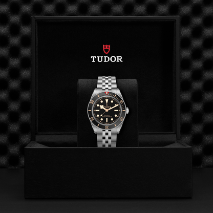Tudor Black Bay 58 — photo 5 of 5