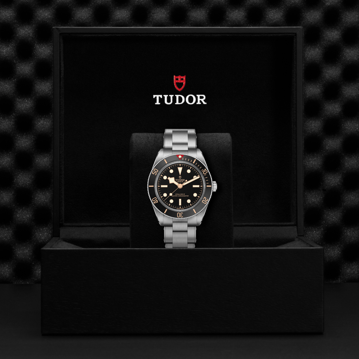 Tudor Black Bay 58 — photo 5 of 5