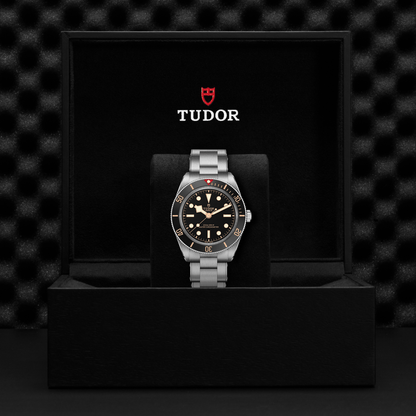 Tudor Black Bay 58 — photo 5 of 5
