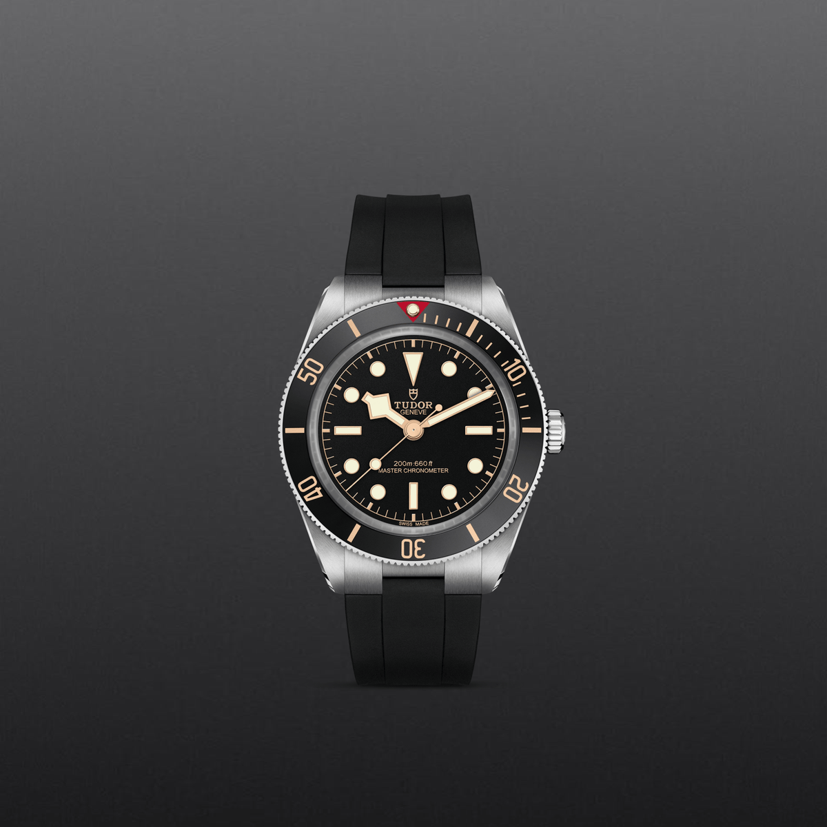 Tudor Black Bay 58 — photo 2 of 5