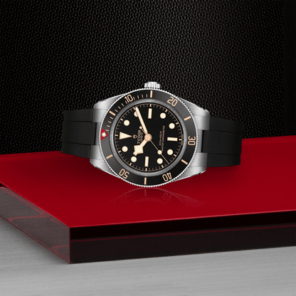 Tudor Black Bay 58 — photo 4 of 5