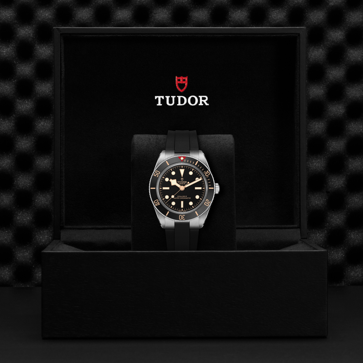 Tudor Black Bay 58 — photo 5 of 5