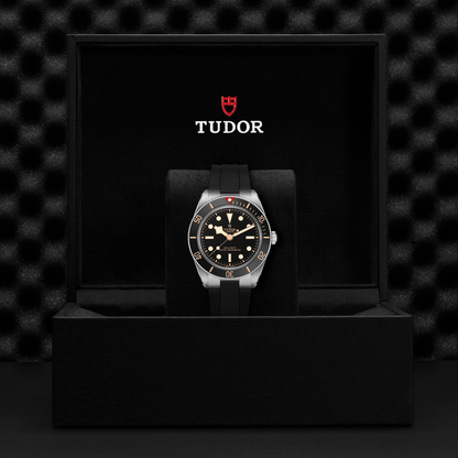 Tudor Black Bay 58 — photo 5 of 5