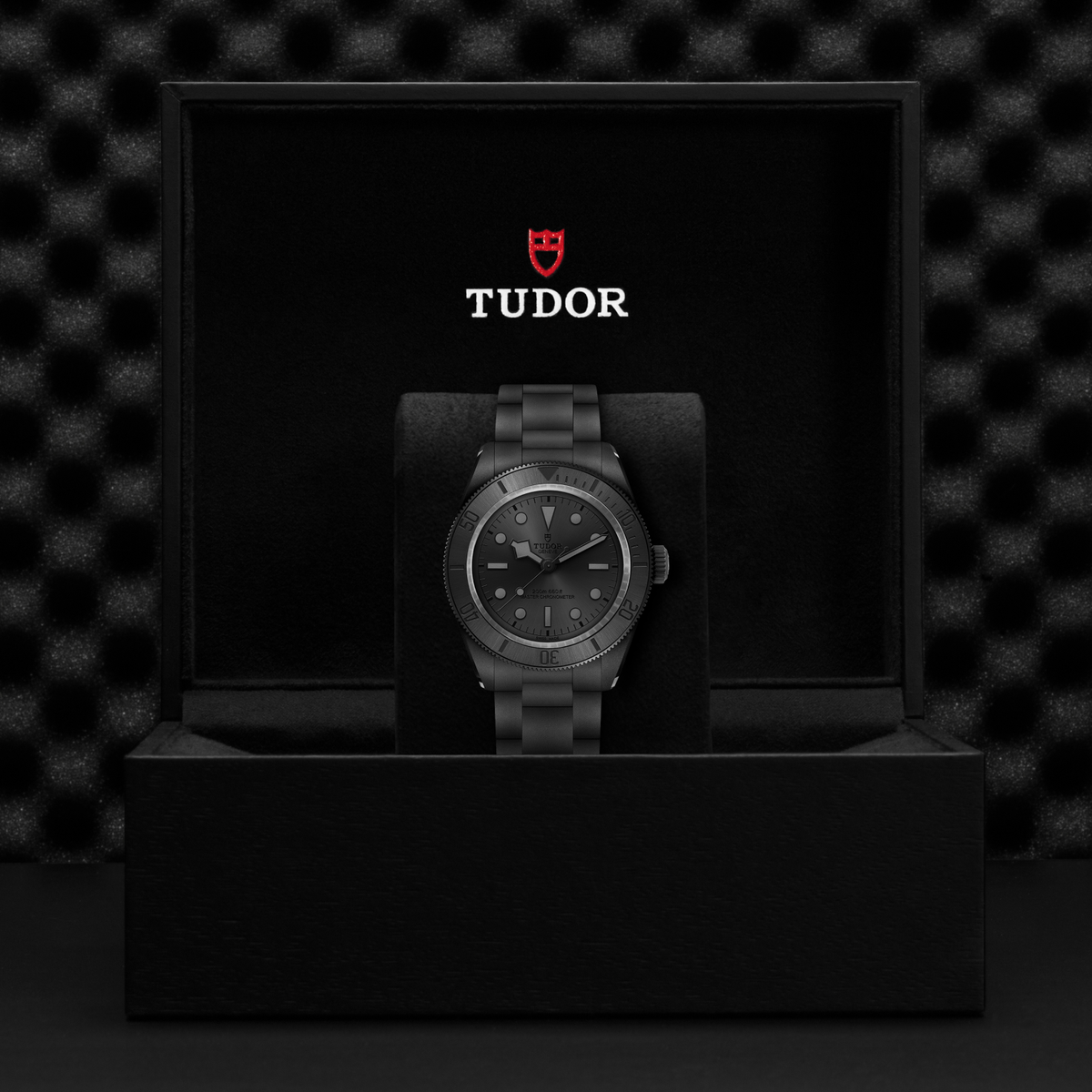 Tudor Black Bay Ceramic — photo 5 of 5